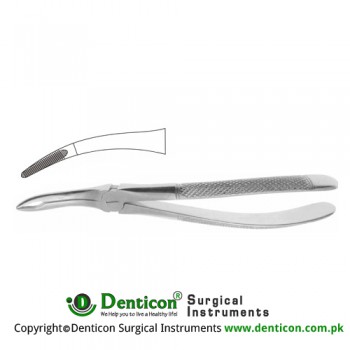 English Pattern Tooth Extracting Forcep Fig. 44N (For Upper Roots) Stainless Steel, Standard